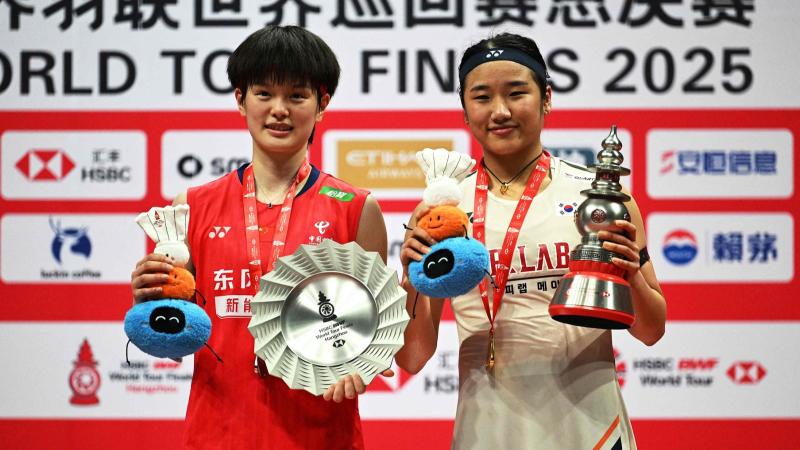 球迷：他这赛季真的开窍了（球迷直呼：他本赛季彻底觉醒了）